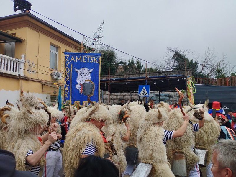 Zametski-zvoncari