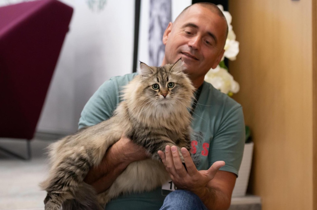 čupavica – gordana popovic pet allmighty photography čupavica – gordana popovic pet allmighty photography