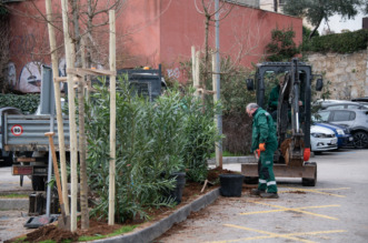 opatija ozelenjavanje (4)