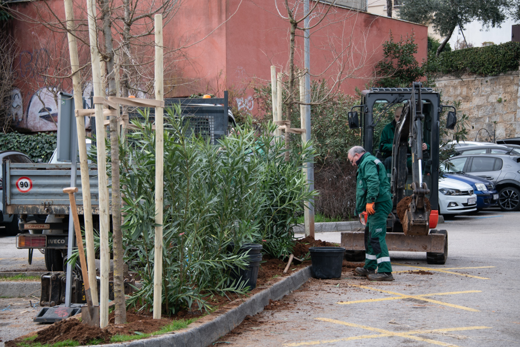 opatija ozelenjavanje (4)