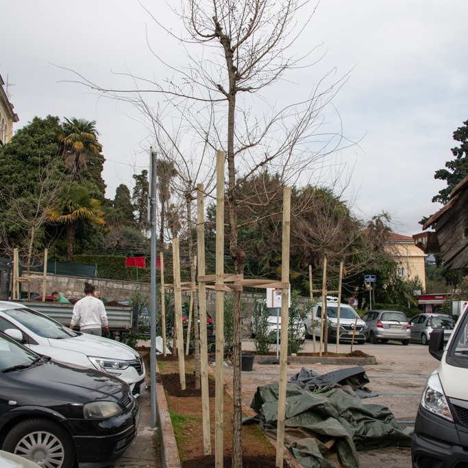opatija ozelenjavanje (5)