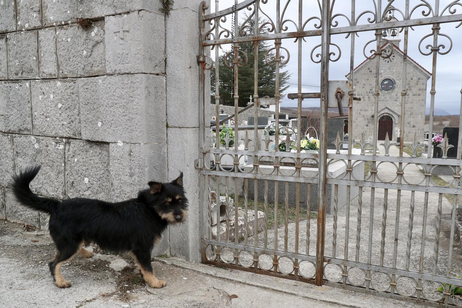 Tijarica: Pas Bruno svakodnevno obilazi groblje gdje je pokopan njegov vlasnik Tijarica: Pas Bruno svakodnevno obilazi groblje gdje je pokopan njegov vlasnik