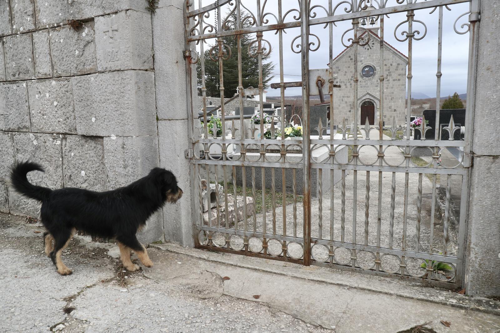 Tijarica: Pas Bruno svakodnevno obilazi groblje gdje je pokopan njegov vlasnik Tijarica: Pas Bruno svakodnevno obilazi groblje gdje je pokopan njegov vlasnik