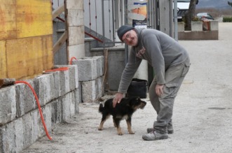 Tijarica: Pas Bruno svakodnevno obilazi groblje gdje je pokopan njegov vlasnik Tijarica: Pas Bruno svakodnevno obilazi groblje gdje je pokopan njegov vlasnik
