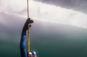 CCC02019 Large