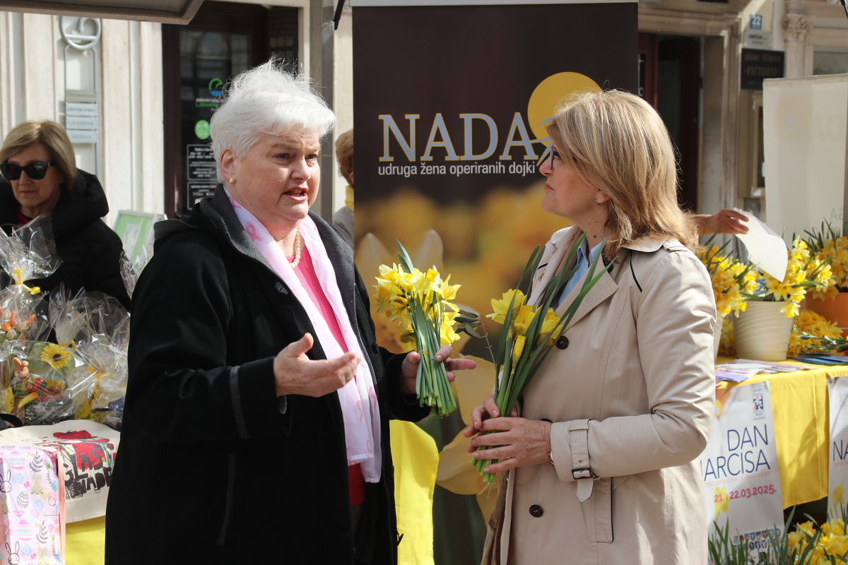 Dan-narcisa-na-Korzu-6 Dan-narcisa-na-Korzu-6