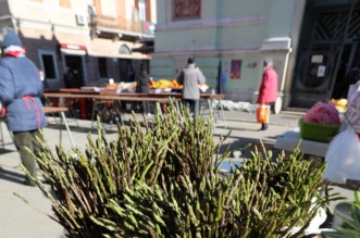 Rijeka: Stigle prve šparoge na gradsku tržnicu, stoje 35 eura po kilogramu