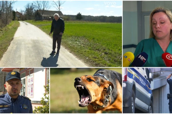 čazma napad psi 2025