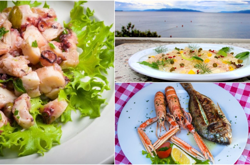 gastro regal tz kvarner 2025 gastro regal tz kvarner 2025