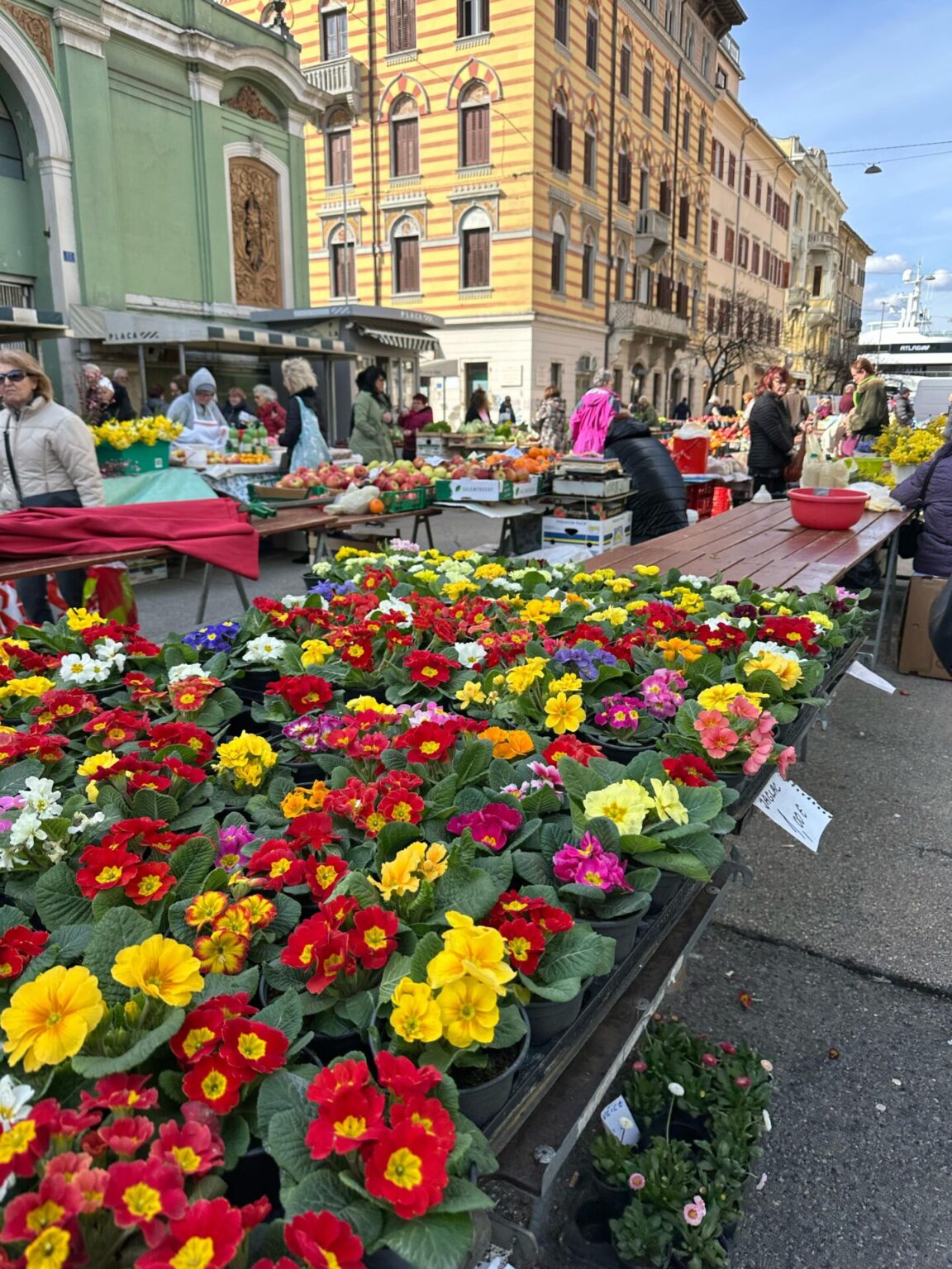 tržnica placa rijeka plus veljača 2025 12