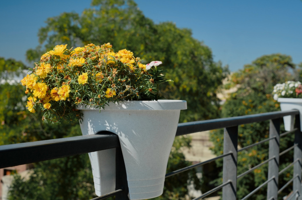 balkon cvijeće kd cistoca balkon cvijeće kd cistoca