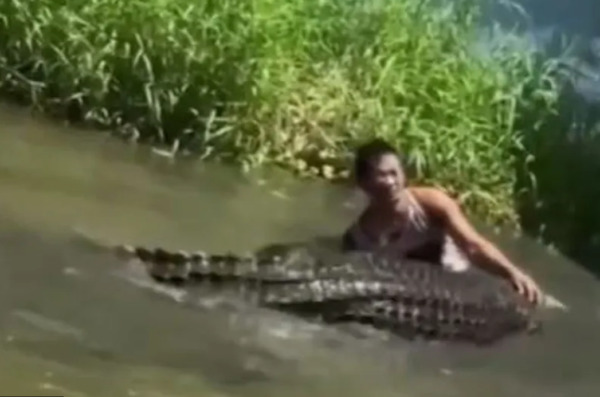 krokodil kip