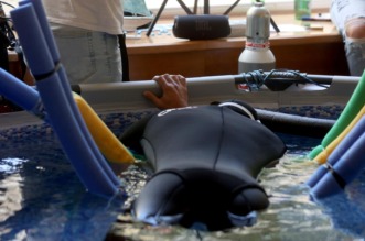 Rijeka: Svjetski rekord Vitomira Maričića, zadržao dah pod vodom 29 minuta i tri sekunde