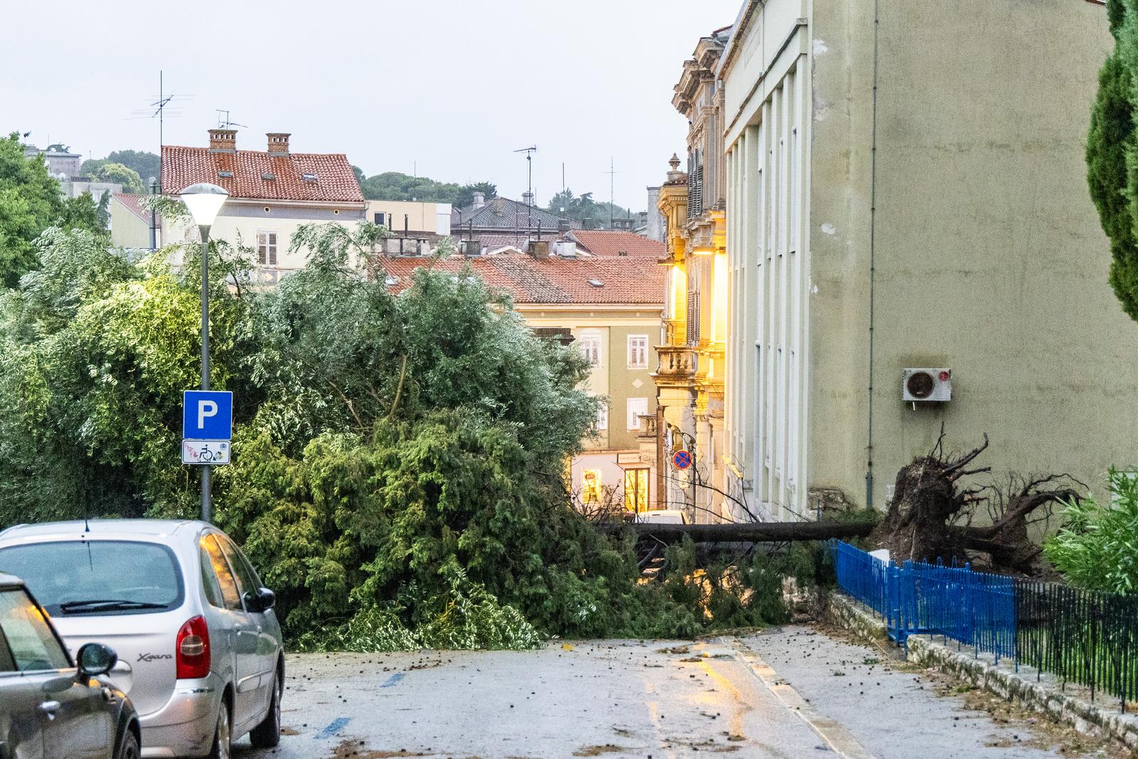 Olujno nevrijeme rušilo stabla u Puli Olujno nevrijeme rušilo stabla u Puli