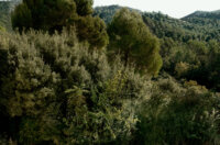 Kave+Home_Outdoor+SS2025+(22) Kave+Home_Outdoor+SS2025+(22)