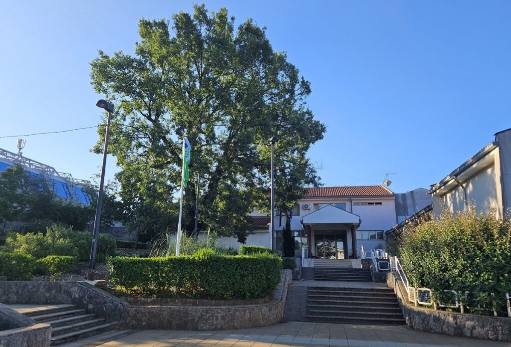 Kostrenski-hrast-66