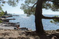 Plaža Kantrida -0047