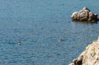 Plaža Preluk-0165