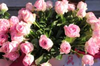 IMG_8135-1024×683 IMG_8135-1024×683