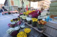 Rijeka: Prodaja krizantema uoči blagdana Svih svetih Rijeka: Prodaja krizantema uoči blagdana Svih svetih
