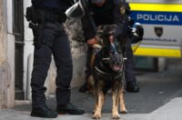 Novo Mesto: Građani pristižu na prosvjedni skup, održat će se i politički summit