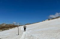 IMG_1100 IMG_1100