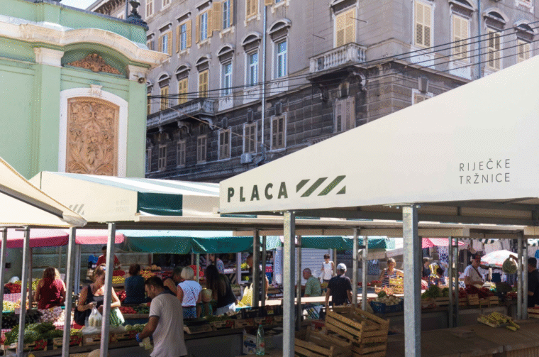 Placa trznica