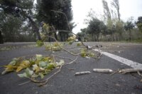 ARHIVA: Na današnji 2013. dan olujna bura s orkanskim udarima poharala je Rijeku ARHIVA: Na današnji 2013. dan olujna bura s orkanskim udarima poharala je Rijeku