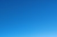 1000042538