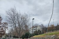 20251216_120307-768×1024 20251216_120307-768×1024