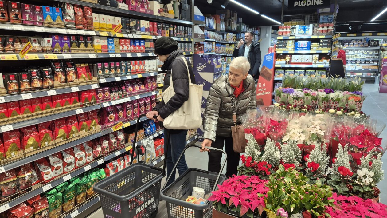 plodine drenova otvaranje 12