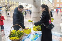 Dan-mimoza-Vedran-Vivoda Dan-mimoza-Vedran-Vivoda