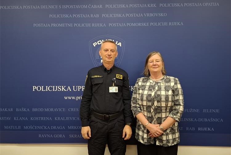 Veleposlanica Irske Veleposlanica Irske