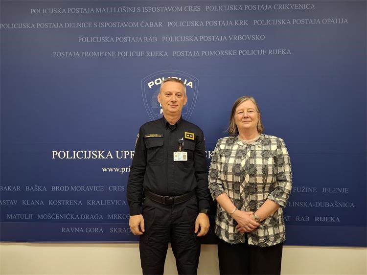 Veleposlanica Irske Veleposlanica Irske