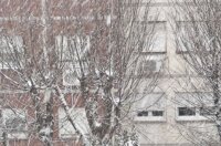 snijeg 060126 Škurinje