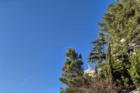 IMG-20260213-WA0024