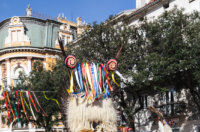 Karneval 2026-0935 Karneval 2026-0935