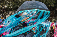 Karneval 2026-0956 Karneval 2026-0956