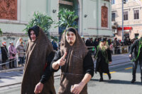 Karneval 2026-0991 Karneval 2026-0991