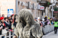 Karneval 2026-4900 Karneval 2026-4900