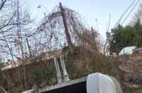 brace-bacic-576×1280