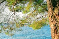 Borovi, grote, more