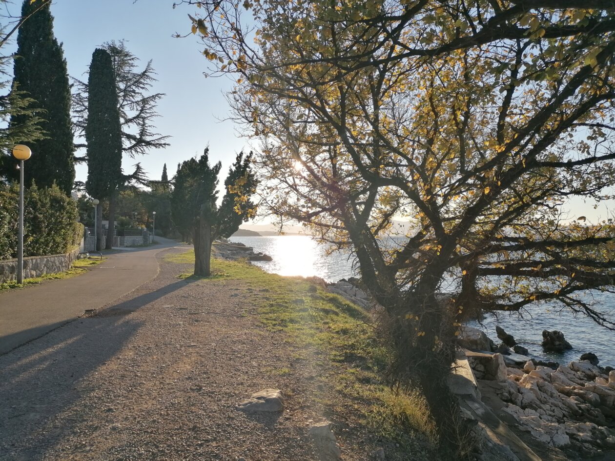 Njivice