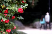 Opatija: Iako je stiglo proljeće,  u nadolazećim danima je najavljen snijeg