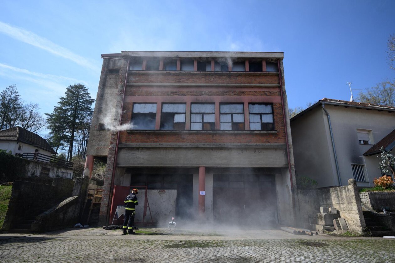 Zagreb: Demonstracija suradnje vatrogasne postrojbe i robotskog psa Unitree Go2
