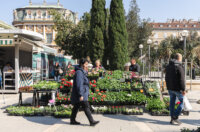 Placa tržnica-5359