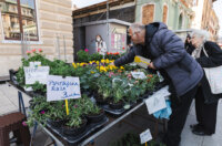Placa tržnica-5362