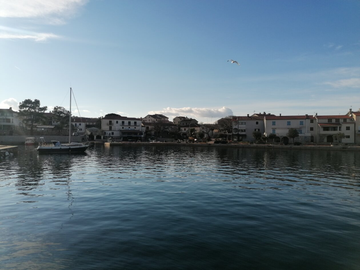 Porat 2