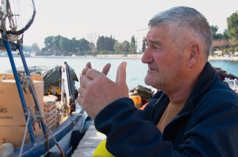 ribar dupini rtl 2
