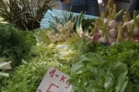 salata-734×1024 salata-734×1024
